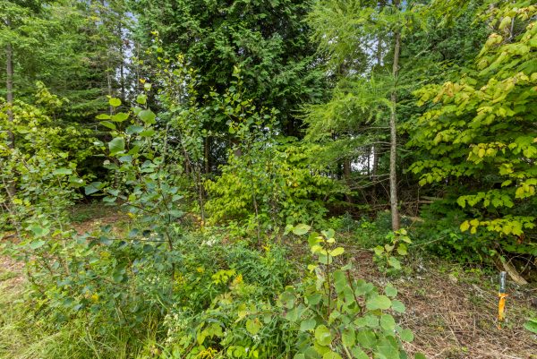 172 GREENOUGH POINT ROAD
