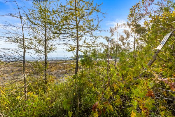 172 GREENOUGH POINT ROAD