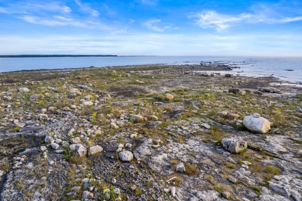 172 GREENOUGH POINT ROAD