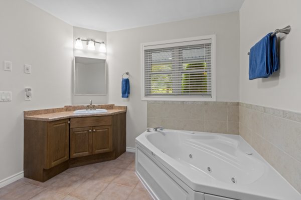 172 QUEENS BUSH DR DRIVE