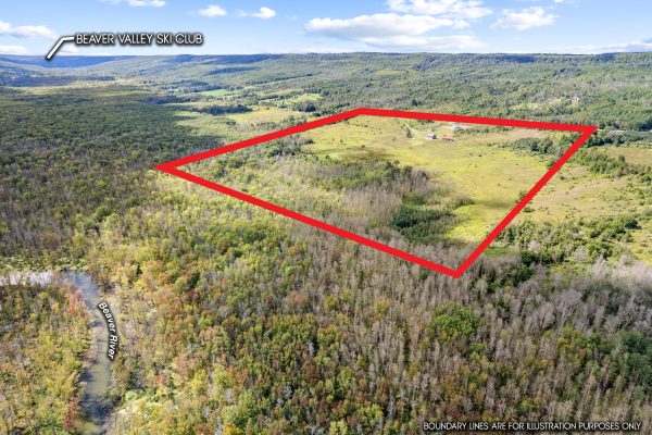 195781 GREY 7 ROAD
