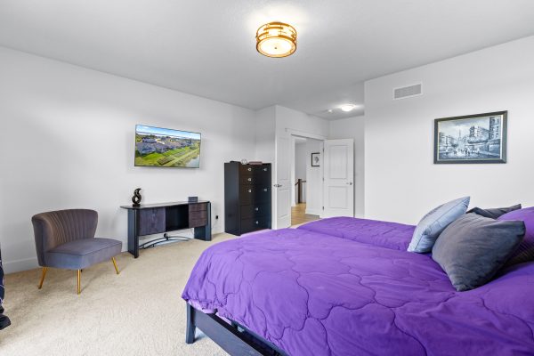 232 SNOWBERRY LANE