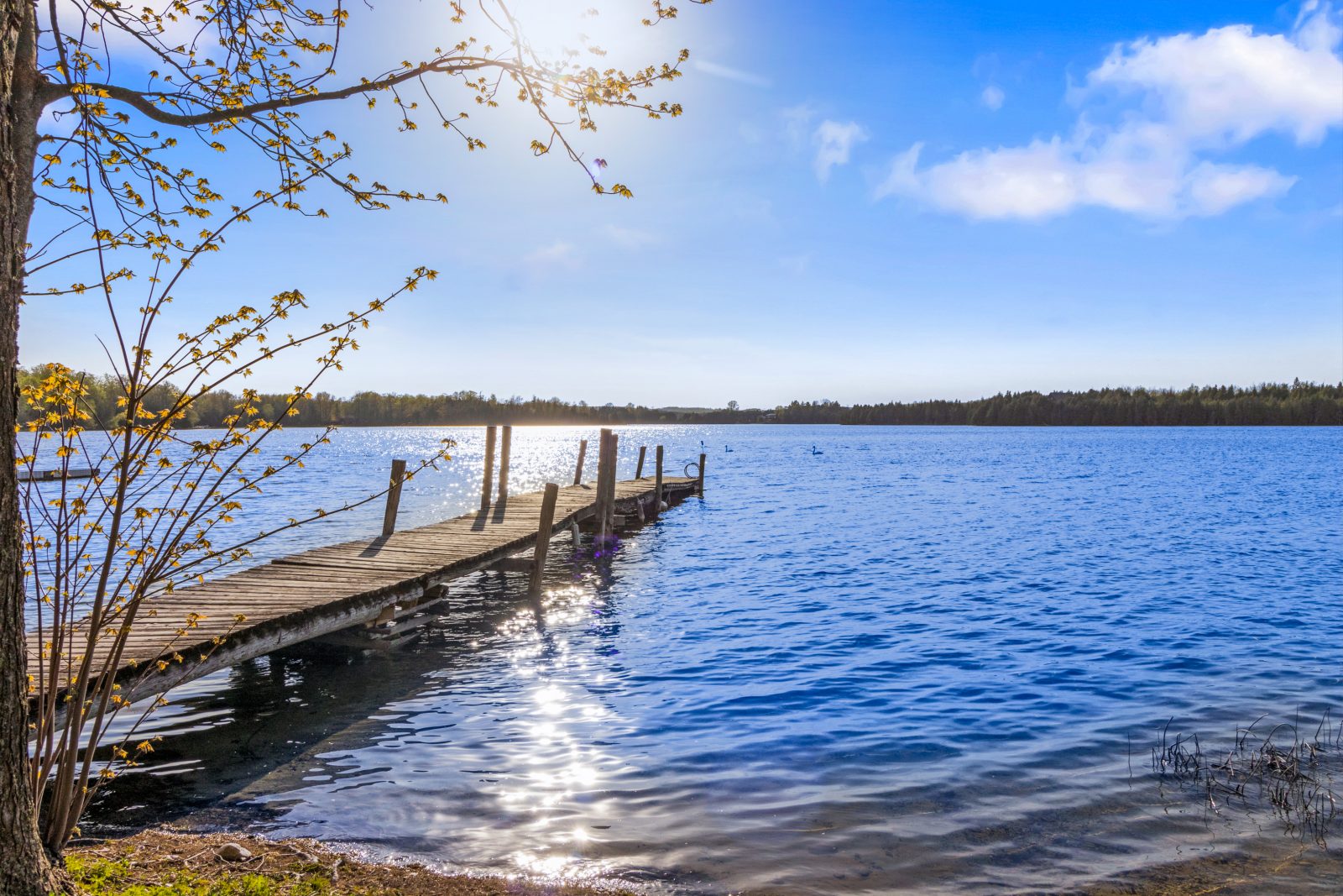 243 MCCULLOUGH LAKE DRIVE