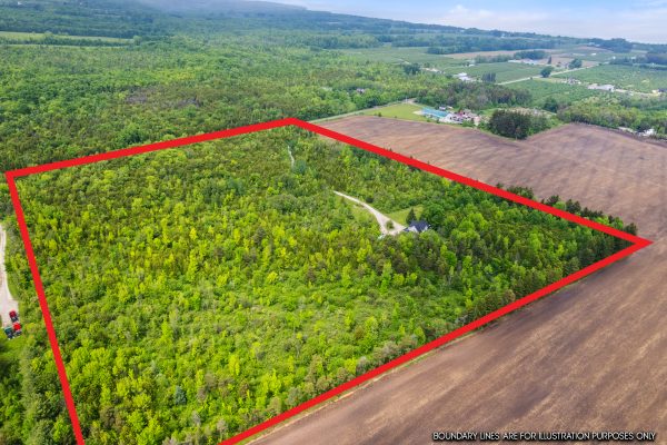 245650 22 SIDE ROAD