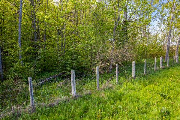 268 FOX RIDGE ROAD