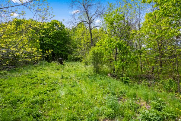 268 FOX RIDGE ROAD