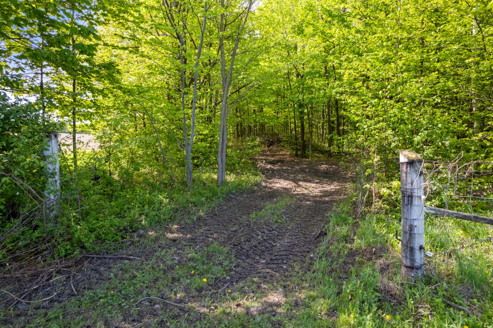 268 FOX RIDGE ROAD