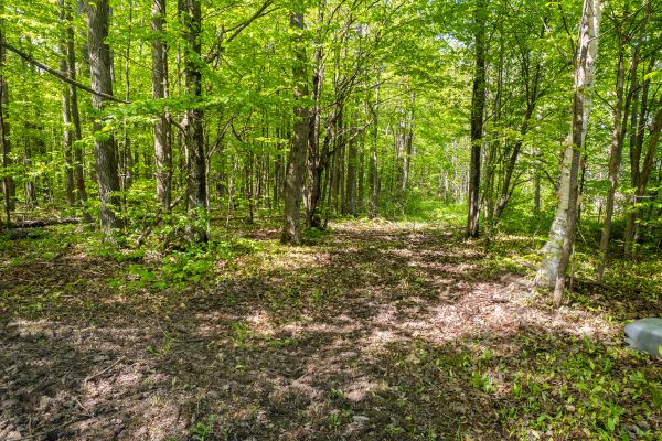268 FOX RIDGE ROAD
