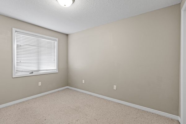 292 BRIARMEADOW DRIVE