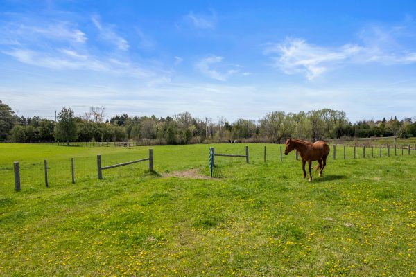 341727 CONCESSION RD 2 NDR