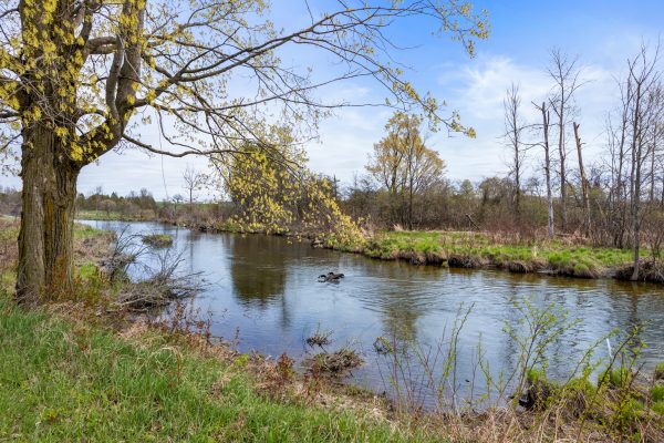 341727 CONCESSION RD 2 NDR