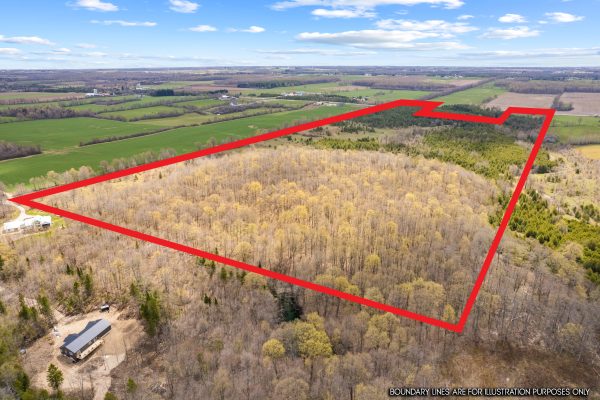 353814 OSPREY ARTEMESIA TOWNLINE