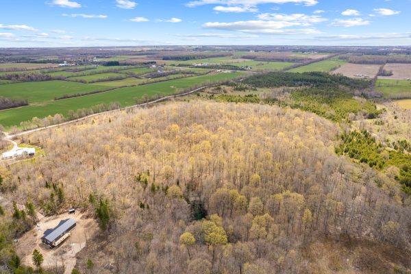 353814 OSPREY ARTEMESIA TOWNLINE