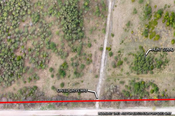 353814 OSPREY ARTEMESIA TOWNLINE