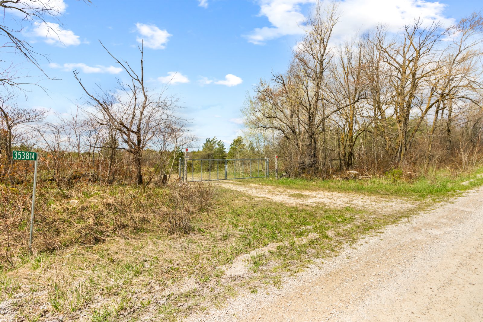 353814 OSPREY ARTEMESIA TOWNLINE