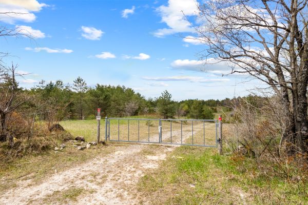 353814 OSPREY ARTEMESIA TOWNLINE