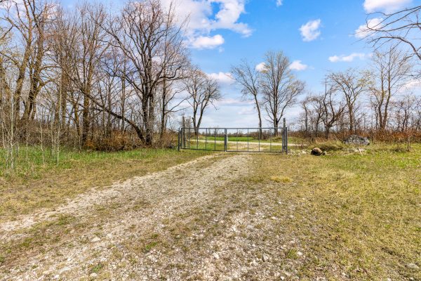 353814 OSPREY ARTEMESIA TOWNLINE