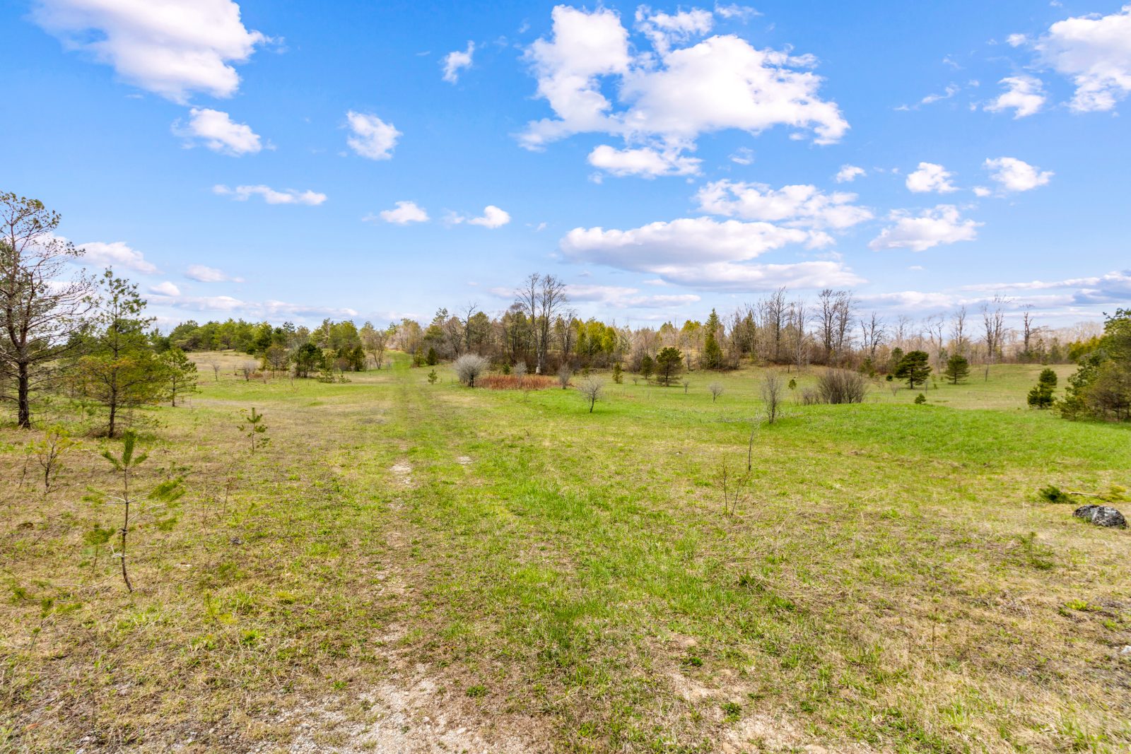353814 OSPREY ARTEMESIA TOWNLINE