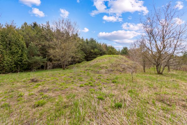 353814 OSPREY ARTEMESIA TOWNLINE