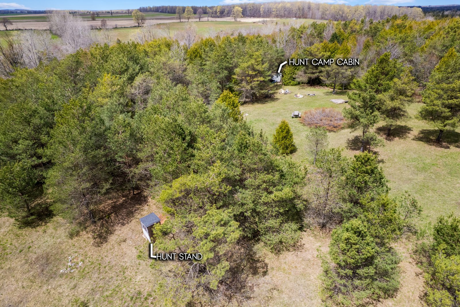 353814 OSPREY ARTEMESIA TOWNLINE