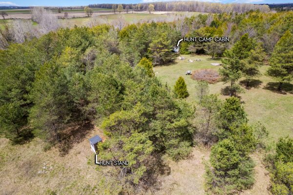 353814 OSPREY ARTEMESIA TOWNLINE