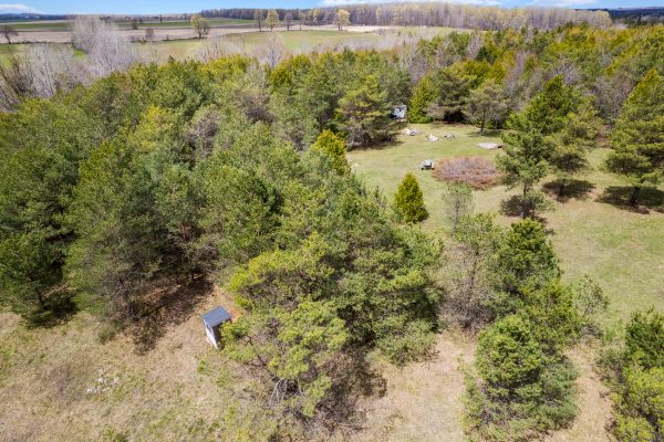 353814 OSPREY ARTEMESIA TOWNLINE