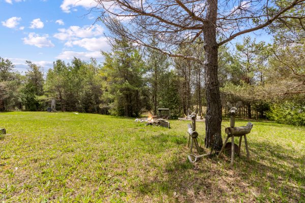 353814 OSPREY ARTEMESIA TOWNLINE