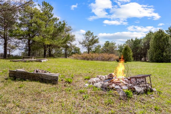 353814 OSPREY ARTEMESIA TOWNLINE