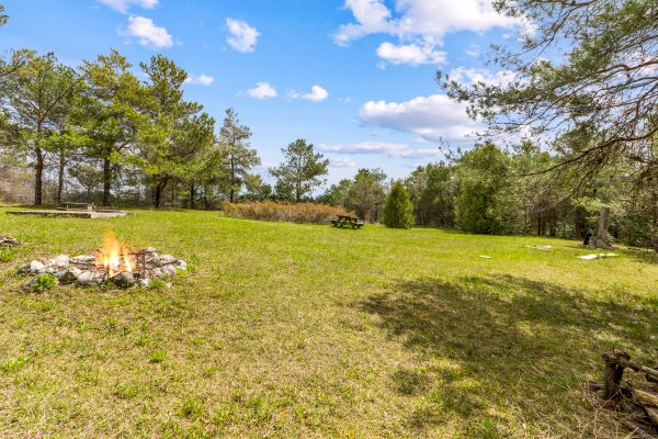 353814 OSPREY ARTEMESIA TOWNLINE