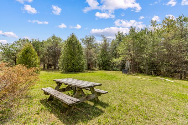 353814 OSPREY ARTEMESIA TOWNLINE