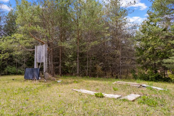 353814 OSPREY ARTEMESIA TOWNLINE