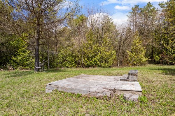 353814 OSPREY ARTEMESIA TOWNLINE