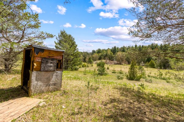 353814 OSPREY ARTEMESIA TOWNLINE