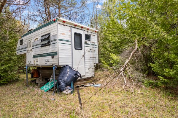 353814 OSPREY ARTEMESIA TOWNLINE