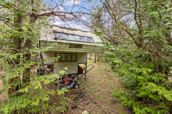 353814 OSPREY ARTEMESIA TOWNLINE