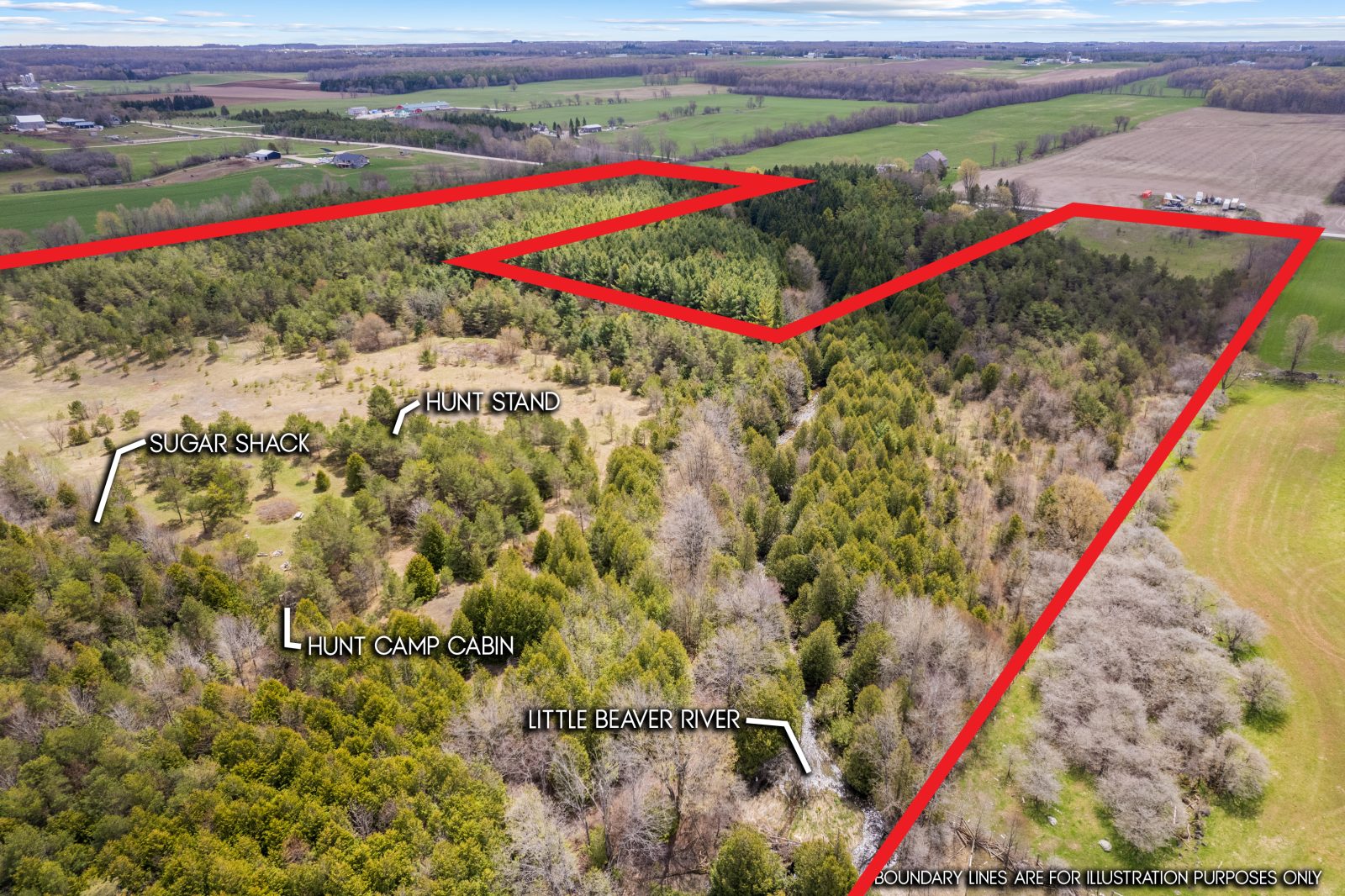 353814 OSPREY ARTEMESIA TOWNLINE
