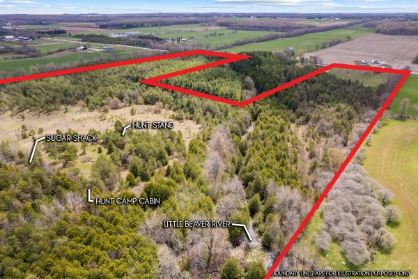 353814 OSPREY ARTEMESIA TOWNLINE