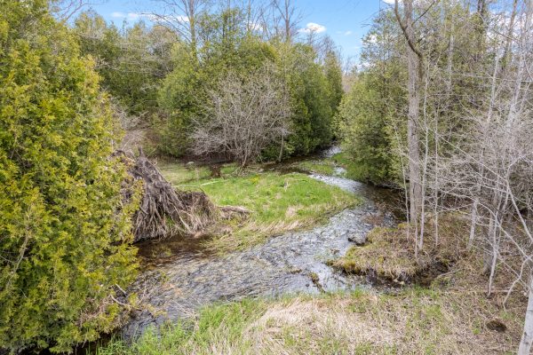 353814 OSPREY ARTEMESIA TOWNLINE