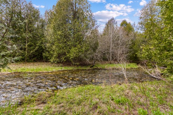 353814 OSPREY ARTEMESIA TOWNLINE