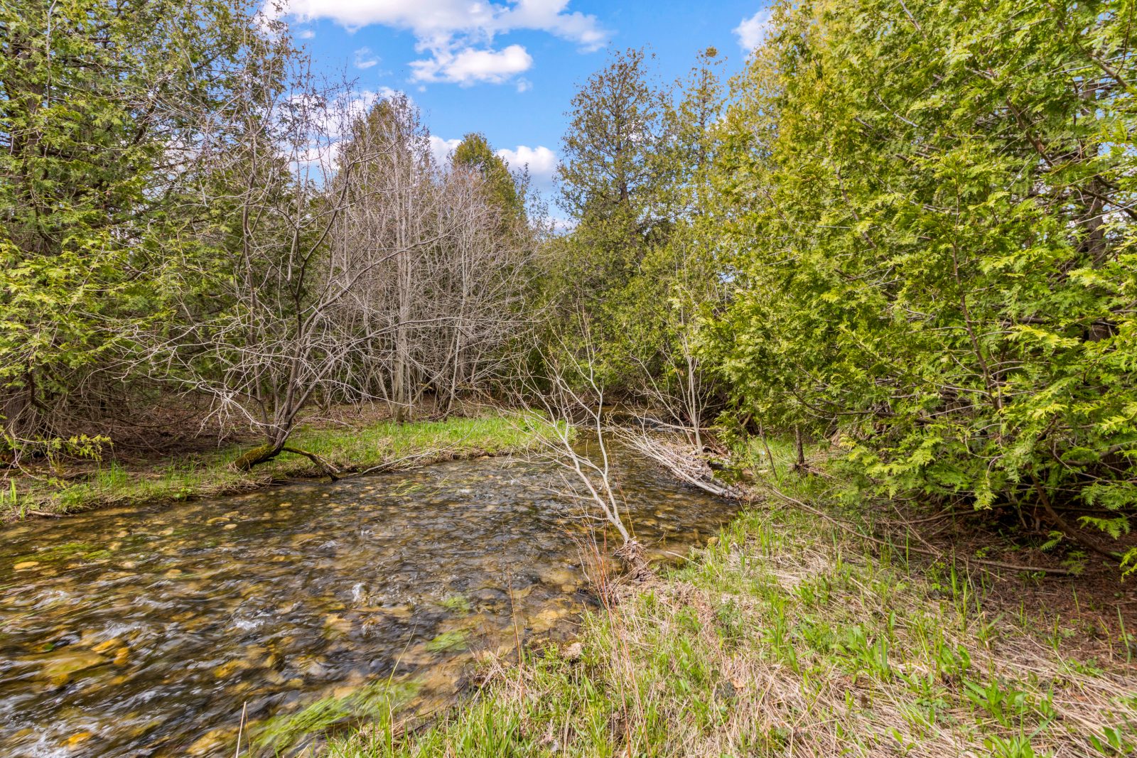353814 OSPREY ARTEMESIA TOWNLINE