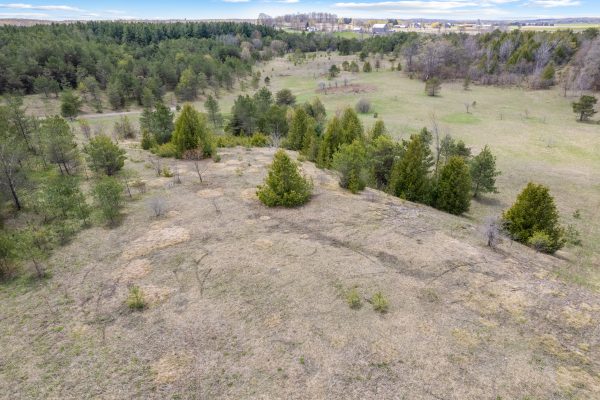 353814 OSPREY ARTEMESIA TOWNLINE