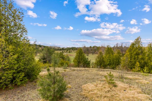353814 OSPREY ARTEMESIA TOWNLINE