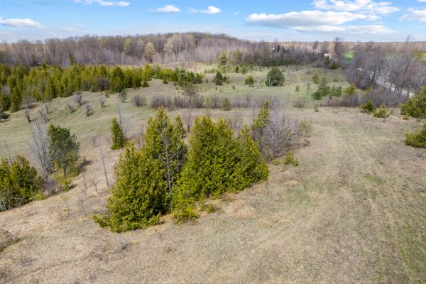 353814 OSPREY ARTEMESIA TOWNLINE