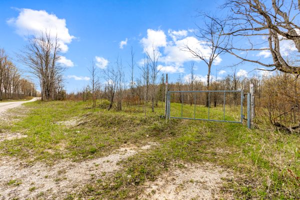 353814 OSPREY ARTEMESIA TOWNLINE
