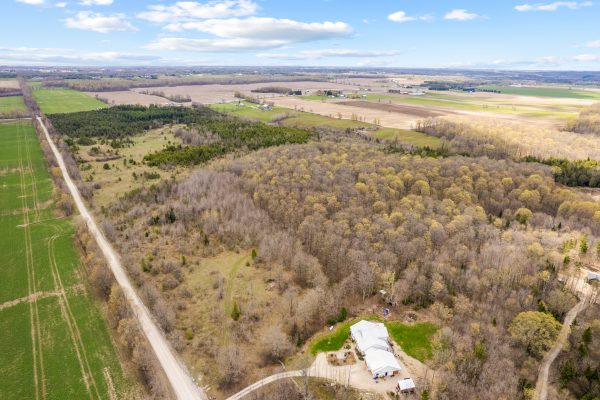 353814 OSPREY ARTEMESIA TOWNLINE