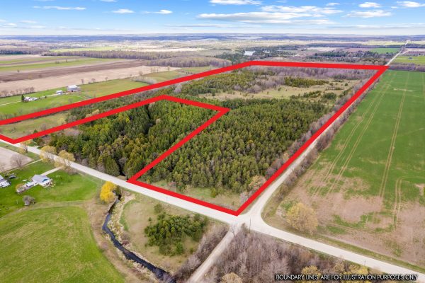 353814 OSPREY ARTEMESIA TOWNLINE