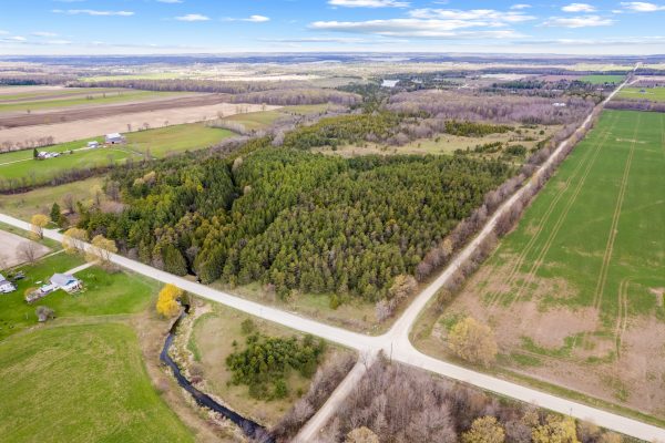 353814 OSPREY ARTEMESIA TOWNLINE