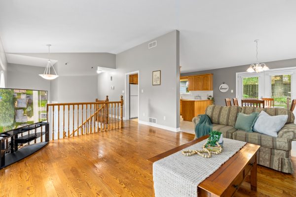 411 Olde Village Lane