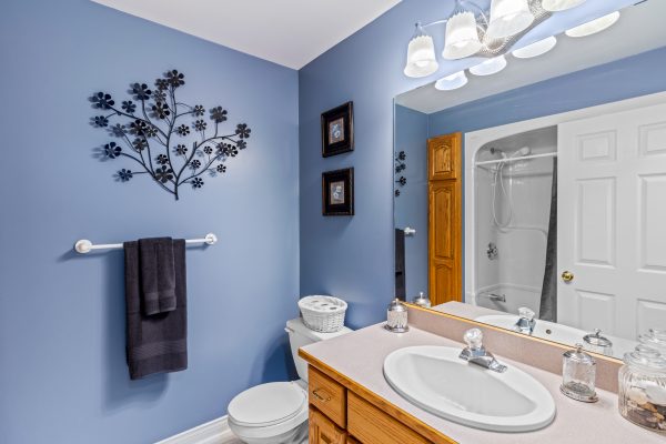 411 Olde Village Lane