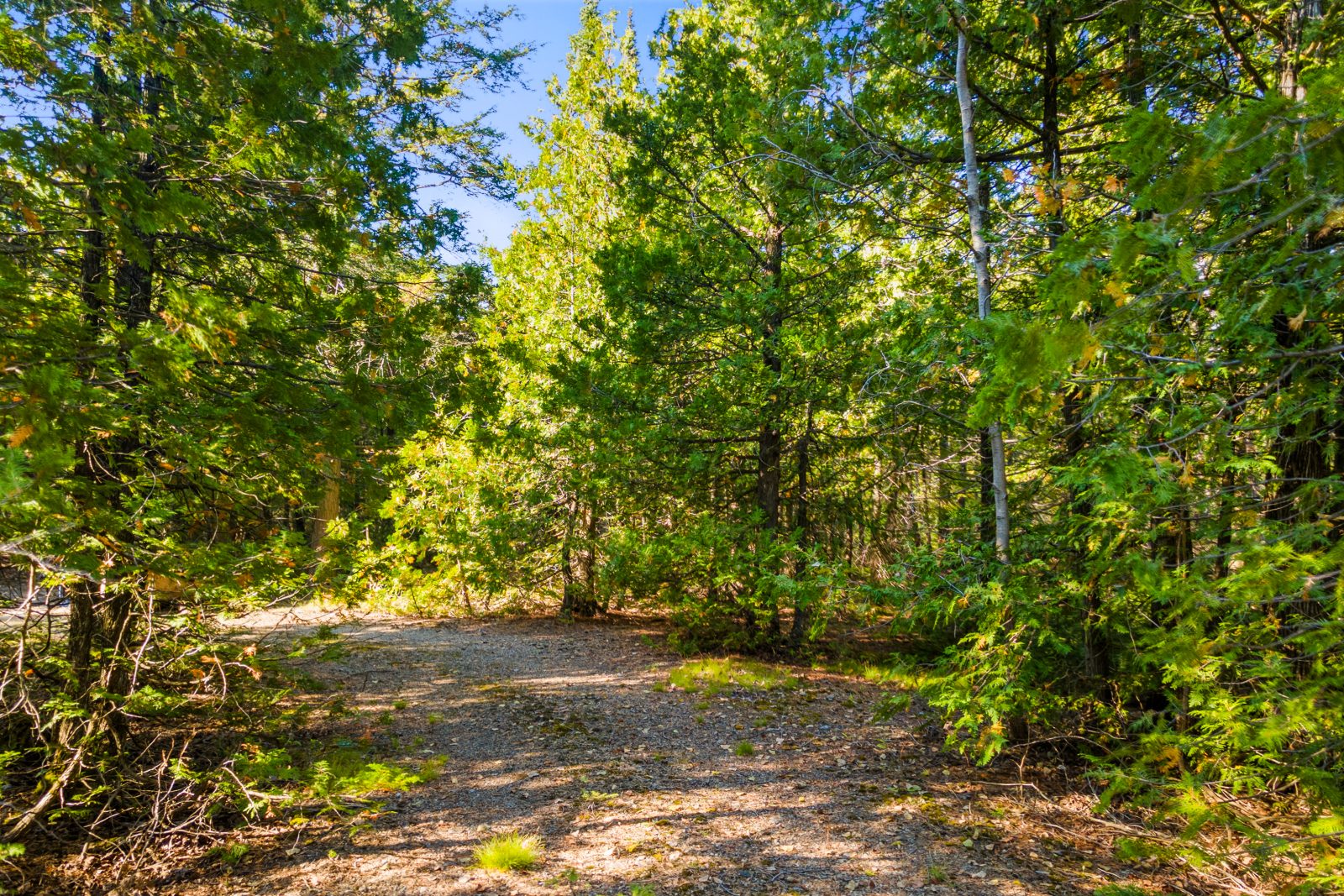 479 DYERS BAY ROAD